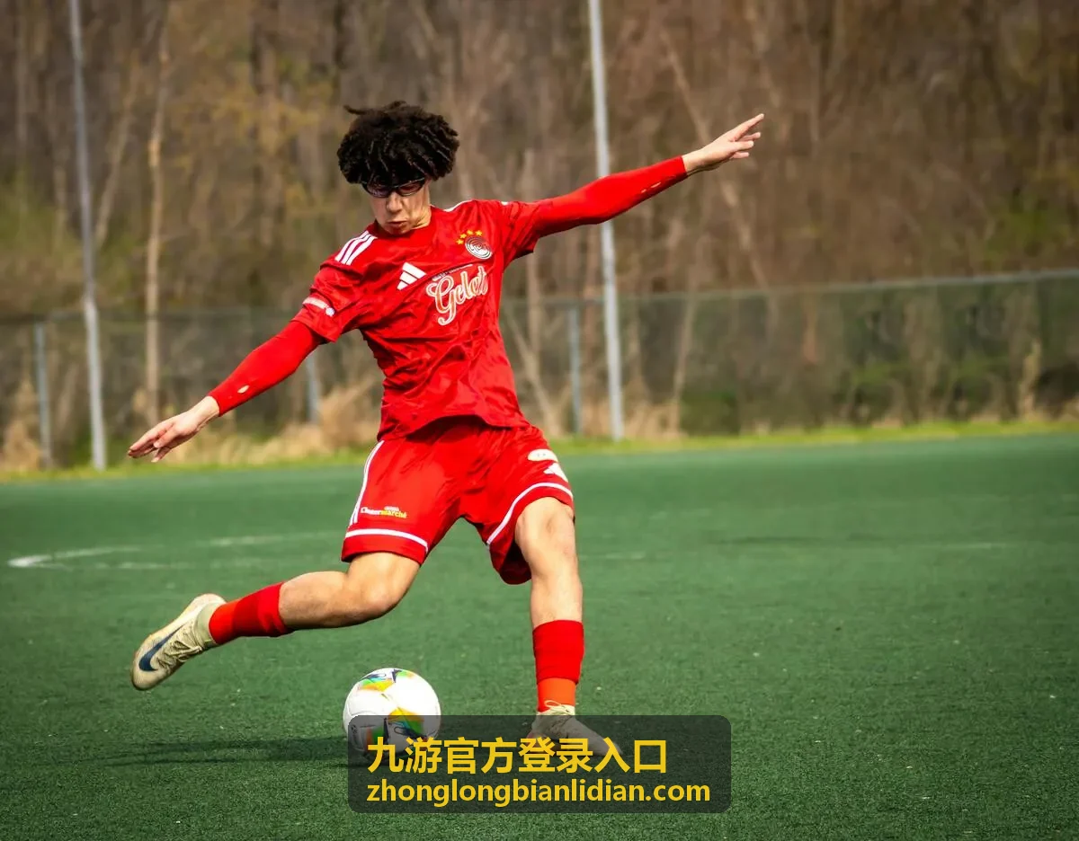 九游官方登录入口账号安全验证画面