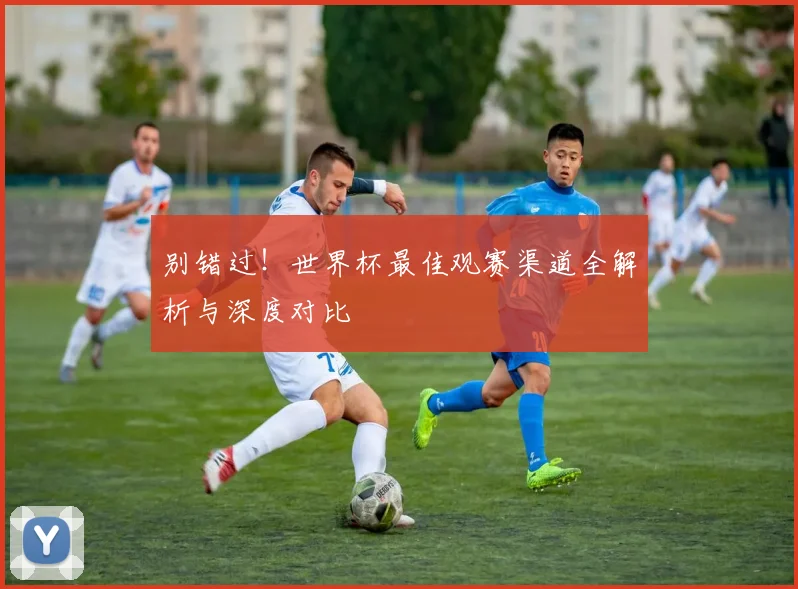 别错过！世界杯最佳观赛渠道全解析与深度对比