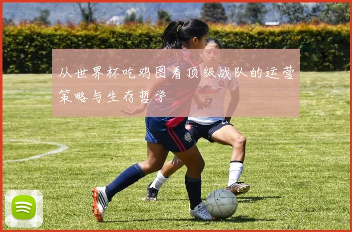 从世界杯吃鸡图看顶级战队的运营策略与生存哲学