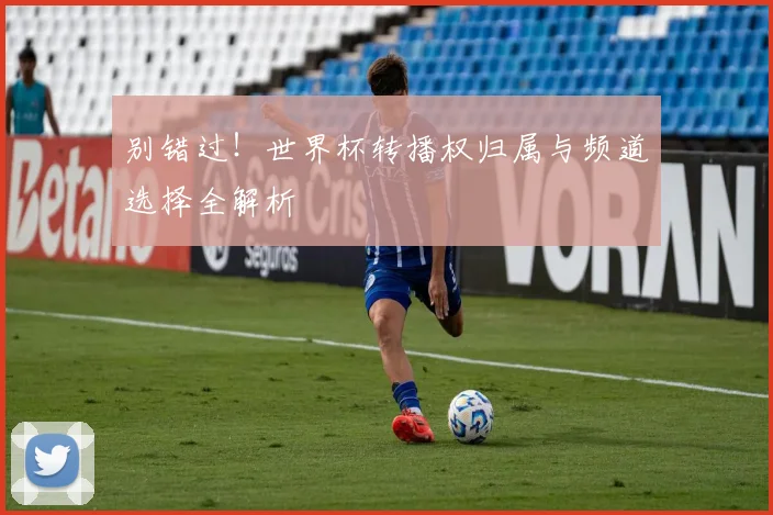 别错过!世界杯转播权归属与频道选择全解析