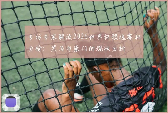 专访专家解读2026世界杯预选赛积分榜：黑马与豪门的现状分析