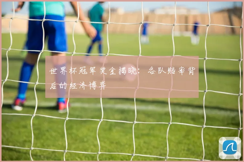 世界杯冠军奖金揭晓:各队赔率背后的经济博弈