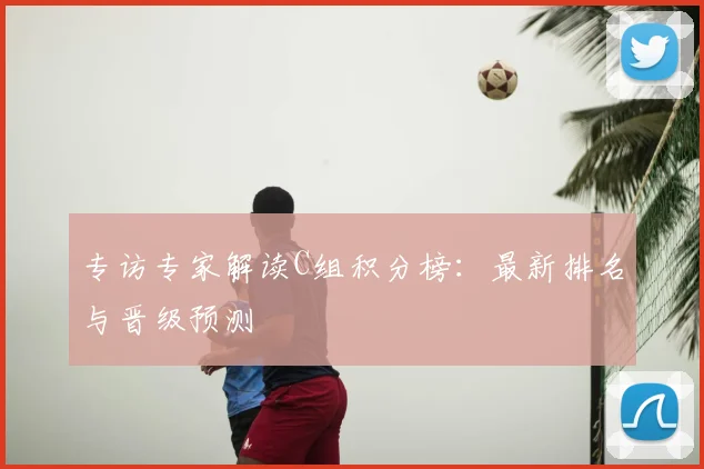 专访专家解读C组积分榜:最新排名与晋级预测