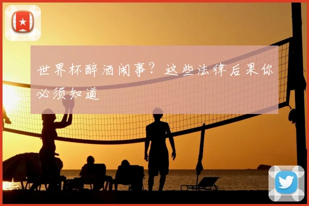 世界杯醉酒闹事?这些法律后果你必须知道