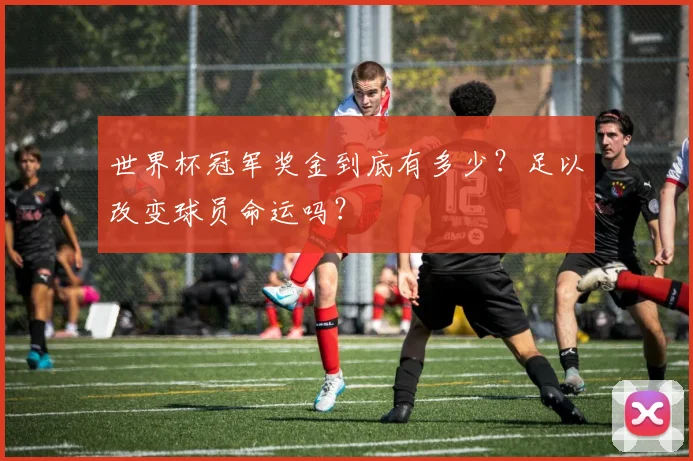 世界杯冠军奖金到底有多少?足以改变球员命运吗?